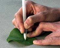 Pens filled with high-tech inks for do-it-yourself sensors