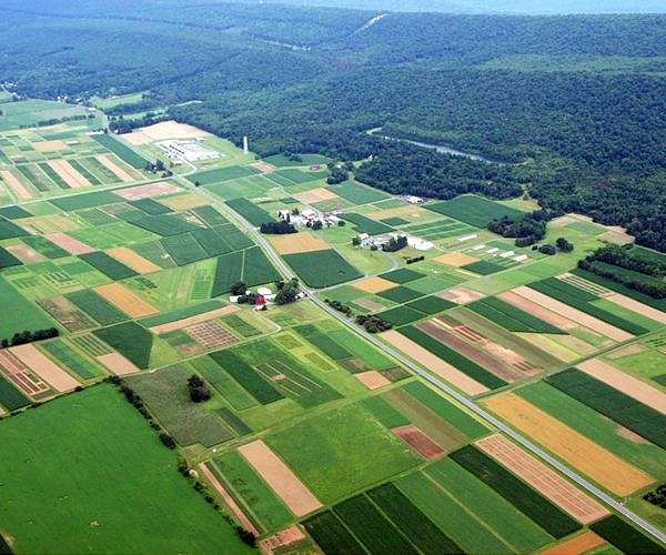 Climate change rocks agricultural commodity markets