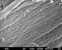 Nanofiber-based wound dressings induce production of antimicrobial peptide
