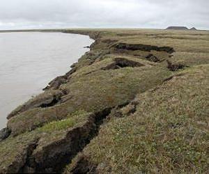 Secret soil cracks linger, despite surface sealing