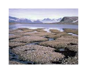 Sand layer plays a key role in protecting the underlying permafrost in the Qinghai-Tibet Plateau