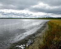 New permafrost is forming around shrinking Arctic lakes
