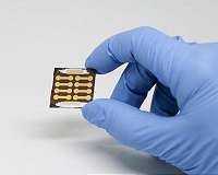 Revealing the microscopic mechanisms in perovskite solar cells