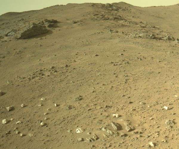 Peculiar Pale Pebbles