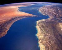 U.S., UAE conclude exercises in Arabian Gulf