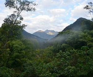 An unprecedented threat to Peru's cloud forests