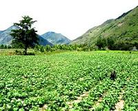 Improving farm and water management with DMC constellation