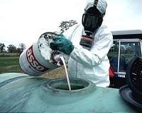 Pesticides threaten birds and bees alike: study