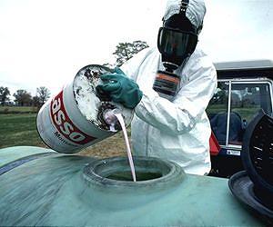 Pesticides slash water life by 42 percent: study
