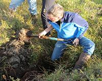 Drying Arctic soils could accelerate greenhouse gas emissions