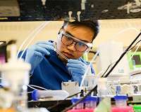 Artificial photosynthesis gets big boost from new catalyst