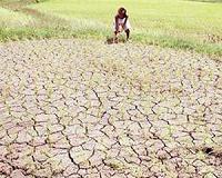 El Nino-spawned dry spell to cut Philippine rainfall: official