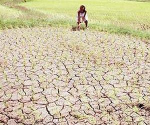 UN expert calls for farming changes