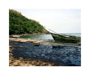 Fewer bites for Philippine fishermen