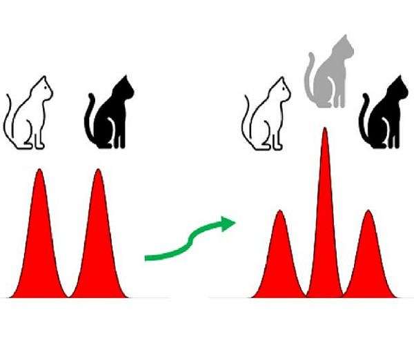 New photon-based quantum computing method offers built-in error correction