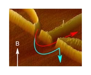New Spin On Graphene