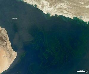 Arabian Sea caught in China-India standoff