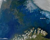 Eni makes Barents Sea breakthrough