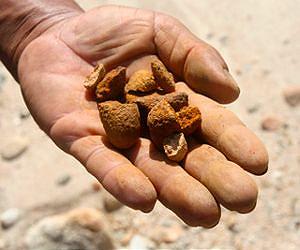 Eating of soil and raw starch in Madagascar