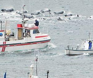 Norway says working to end Russian boycott on fish exports