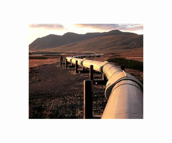 Russia may cut gas to Finland soon: energy group