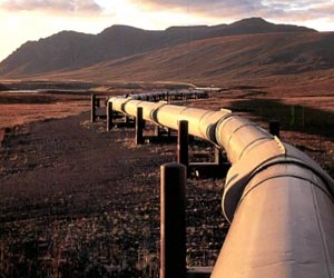 Minister says Turkey will keep buying gas from Iran