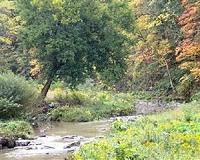 Wilderness areas need buffer zones to protect from human development