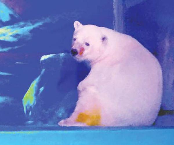 Frosty reception for China hotel with polar bears on show