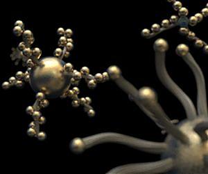 Nanoparticles and their orbital positions
