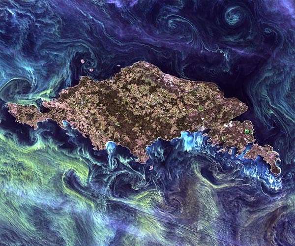 Climate change could cause mass exodus of tropical plankton