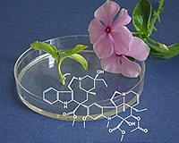 DARPA's EZ BAA Cuts Red Tape to Speed Funding of New Biotech Ideas