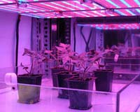Farming For The Future