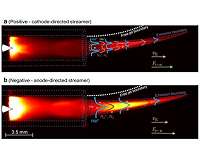 KAIST finds the principle of electric wind in plasma