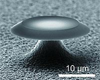 Plasmonic Whispering Gallery Microcavity Paves The Way To Future Nanolasers