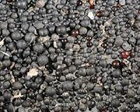 Microplastic pollution discovered in St. Lawrence River