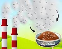 Durable wood carbon sponge could enable wearable sensors, pollutant treatment