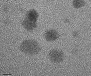 First Atomic-Scale Real-Time Movies of Platinum Nanocrystal Growth in Liquids