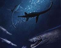 New giant marine reptile species from the Early Jurassic found