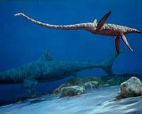 Steep Oxygen Decline Halted First Land Colonization By Earth's Sea Creatures