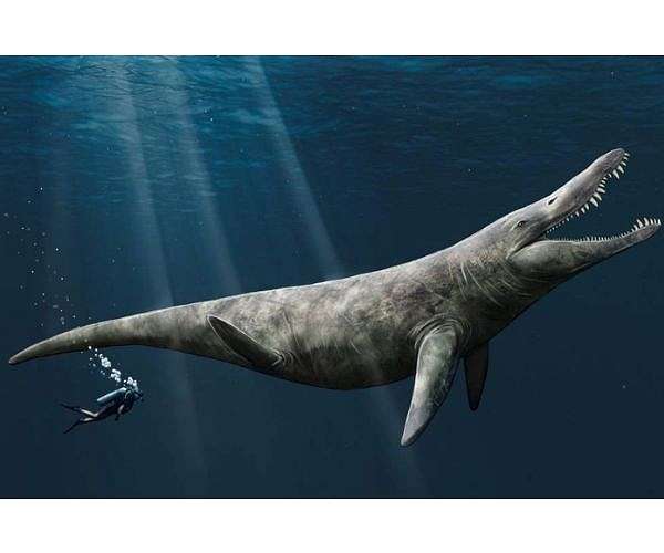 Giants of the Jurassic seas were twice the size of a killer whale