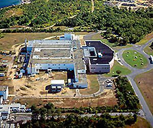 Scaled-back NBAF and NBAF as designed are options that could meet critical US lab needs