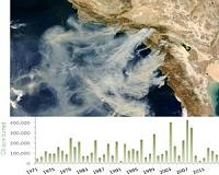 How might El Nino affect wildfires in California?