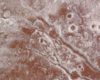Particles 'Go with the Flow' on Pluto's Surface