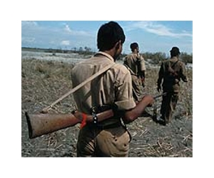 S.African rangers kill poachers in Kruger park