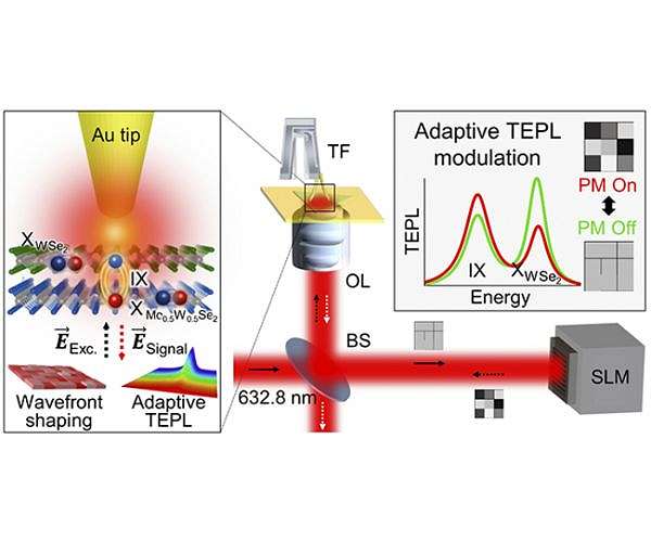 Data can now be processed at the speed of light
