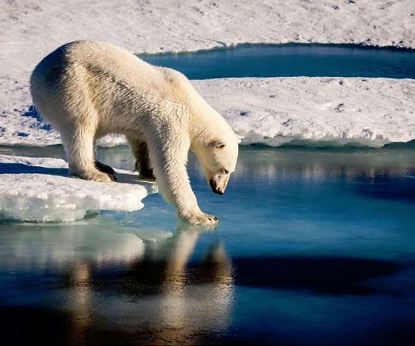 At meeting in Canada, global fund launched to protect nature