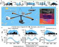 Fish use smart camouflage mechanism in open ocean waters