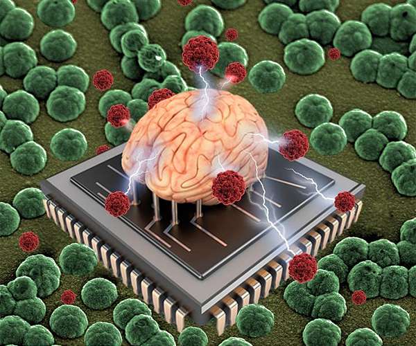 Modified soft material promises better bioelectronics