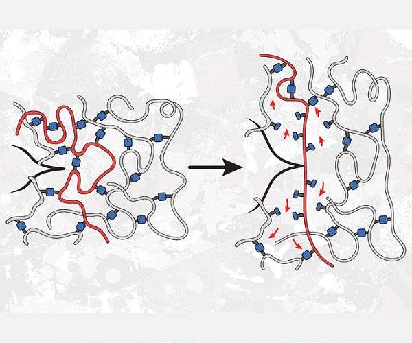 Surprise! Weaker bonds can make polymers stronger