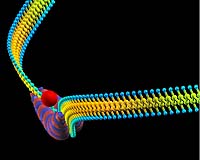 Solitons Might Power Molecular Electronics
